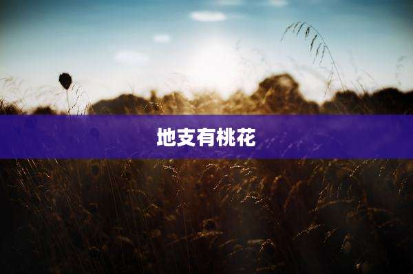 地支有桃花