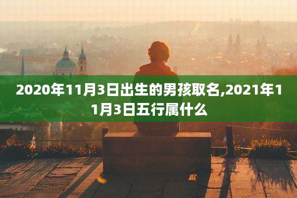 2020年11月3日出生的男孩取名,2021年11月3日五行属什么