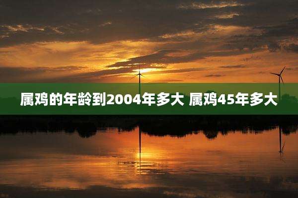 属鸡的年龄到2004年多大 属鸡45年多大