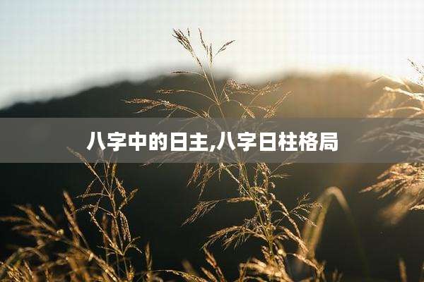 八字中的日主,八字日柱格局