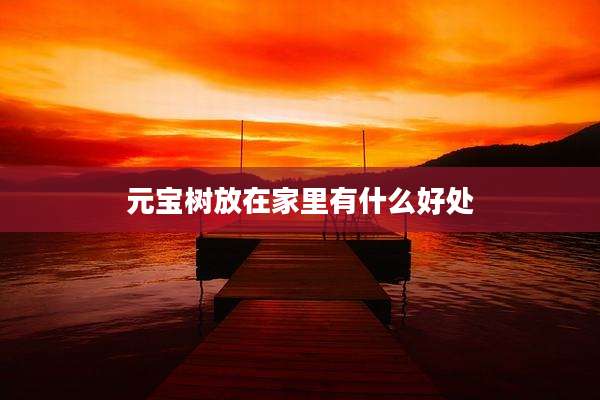 元宝树放在家里有什么好处