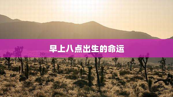 早上八点出生的命运