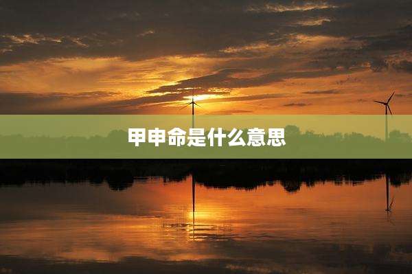甲申命是什么意思