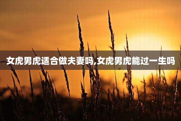 女虎男虎适合做夫妻吗,女虎男虎能过一生吗