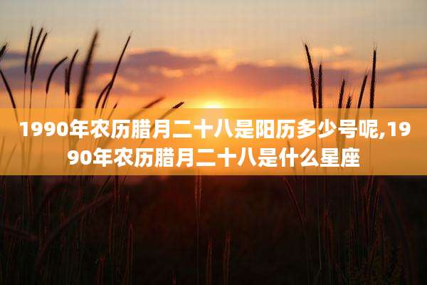 1990年农历腊月二十八是阳历多少号呢,1990年农历腊月二十八是什么星座