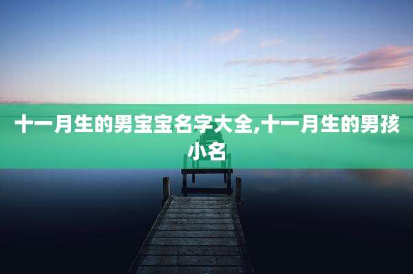 十一月生的男宝宝名字大全,十一月生的男孩小名