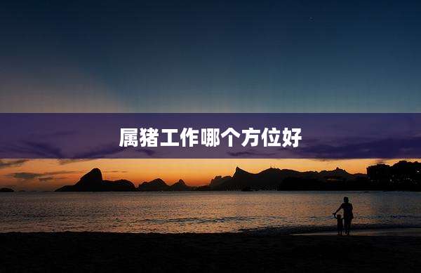 属猪工作哪个方位好
