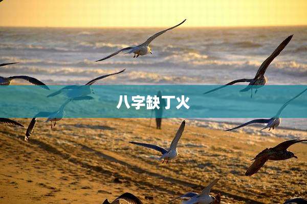八字缺丁火