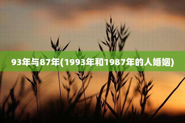93年与87年(1993年和1987年的人婚姻)