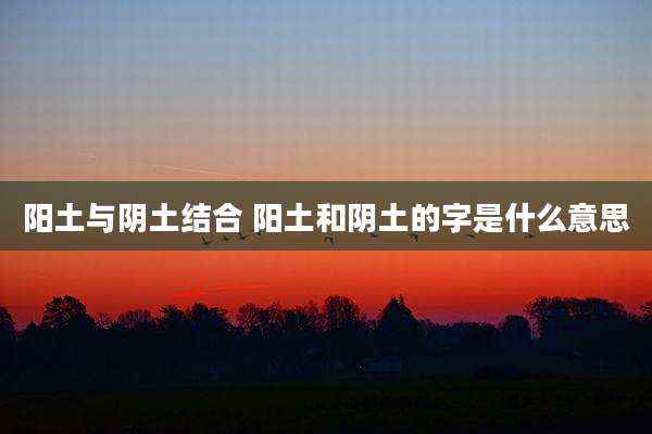 阳土与阴土结合 阳土和阴土的字是什么意思