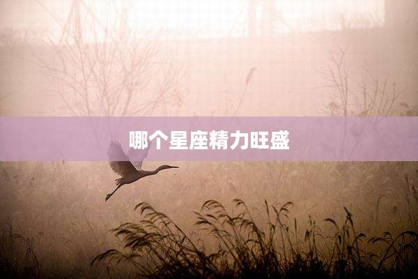 哪个星座精力旺盛