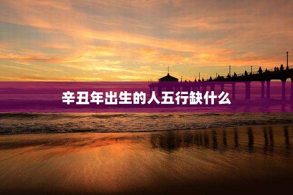 辛丑年出生的人五行缺什么