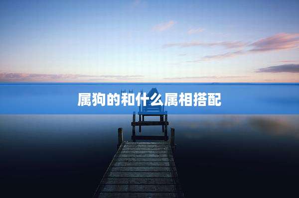 属狗的和什么属相搭配
