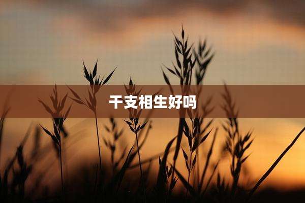干支相生好吗