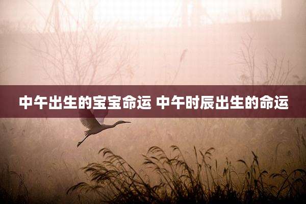中午出生的宝宝命运 中午时辰出生的命运