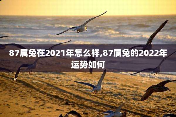 87属兔在2021年怎么样,87属兔的2022年运势如何