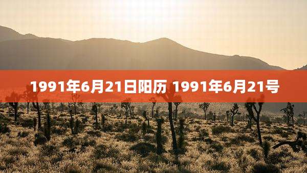 1991年6月21日阳历 1991年6月21号