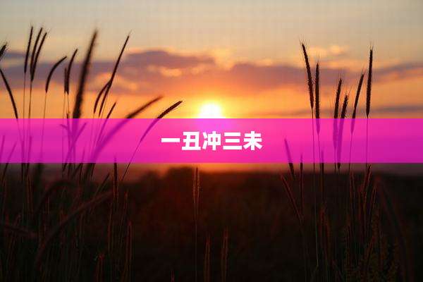 一丑冲三未