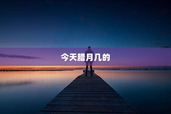 今天腊月几的