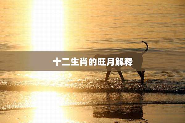 十二生肖的旺月解释