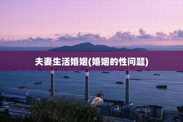 夫妻生活婚姻(婚姻的性问题)