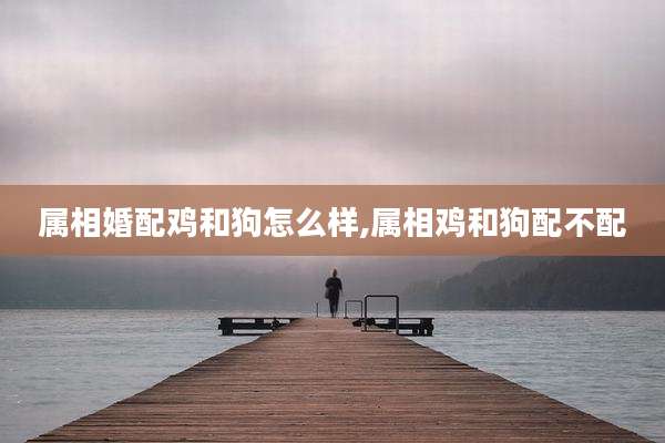 属相婚配鸡和狗怎么样,属相鸡和狗配不配