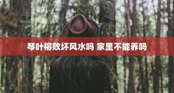 琴叶榕败坏风水吗 家里不能养吗