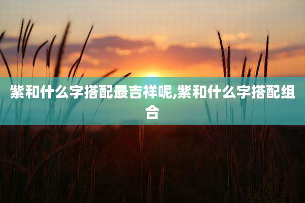 紫和什么字搭配最吉祥呢,紫和什么字搭配组合