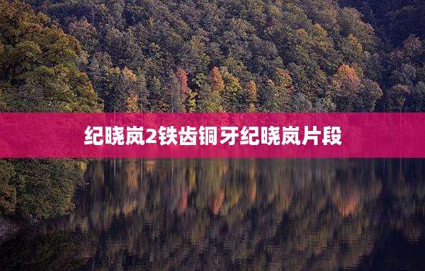 纪晓岚2铁齿铜牙纪晓岚片段