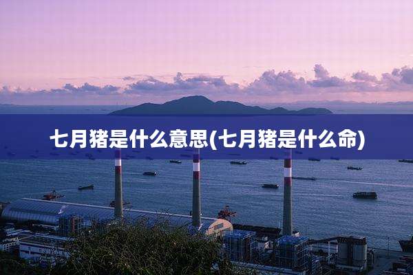 七月猪是什么意思(七月猪是什么命)