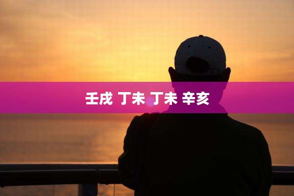 壬戌 丁未 丁未 辛亥