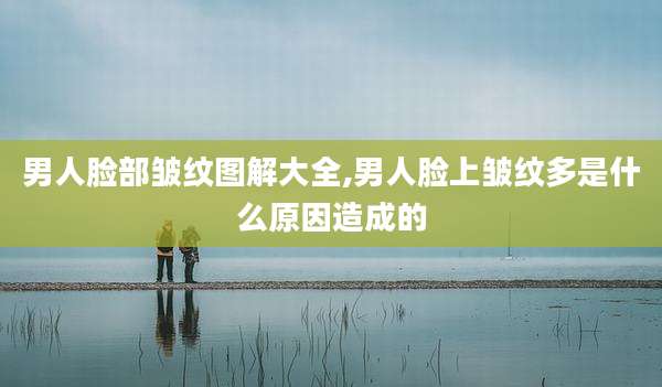 男人脸部皱纹图解大全,男人脸上皱纹多是什么原因造成的