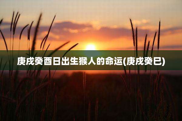 庚戌癸酉日出生猴人的命运(庚戌癸巳)