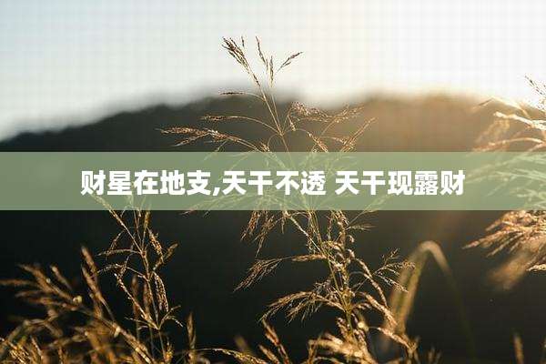 财星在地支,天干不透 天干现露财