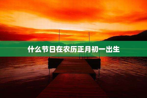 什么节日在农历正月初一出生