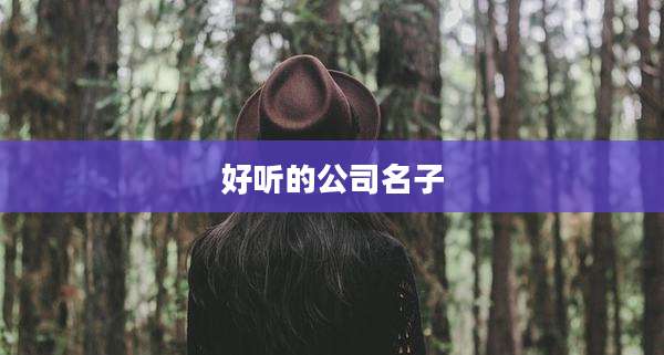 好听的公司名子