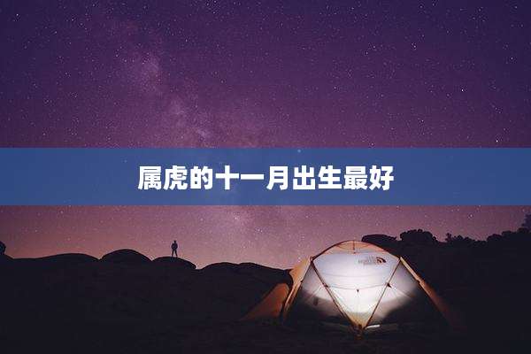 属虎的十一月出生最好