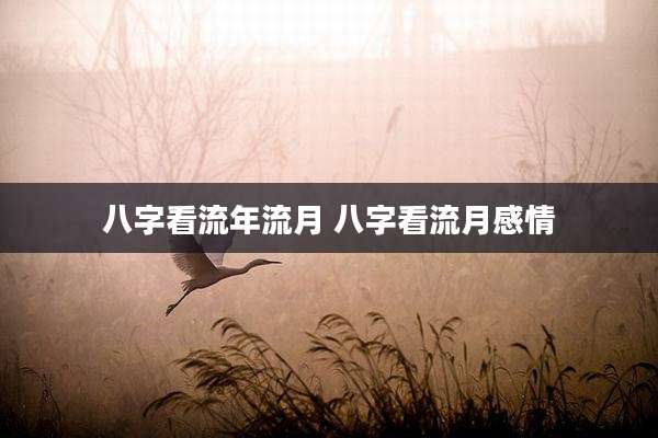 八字看流年流月 八字看流月感情