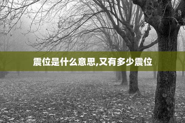 震位是什么意思,又有多少震位