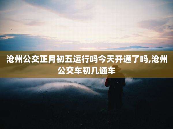 沧州公交正月初五运行吗今天开通了吗,沧州公交车初几通车