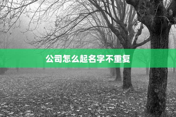 公司怎么起名字不重复