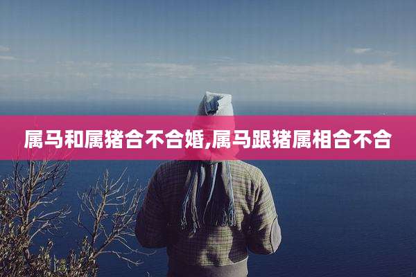 属马和属猪合不合婚,属马跟猪属相合不合