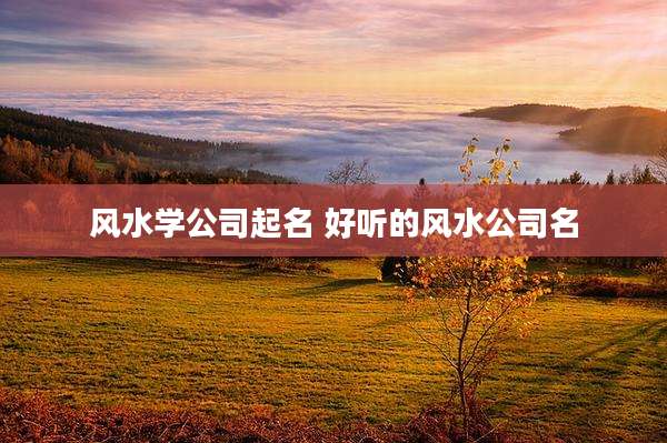 风水学公司起名 好听的风水公司名