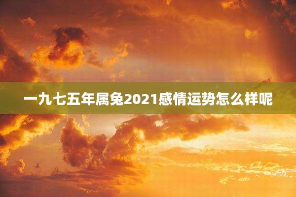 一九七五年属兔2021感情运势怎么样呢