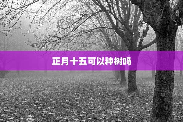 正月十五可以种树吗