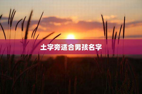 土字旁适合男孩名字