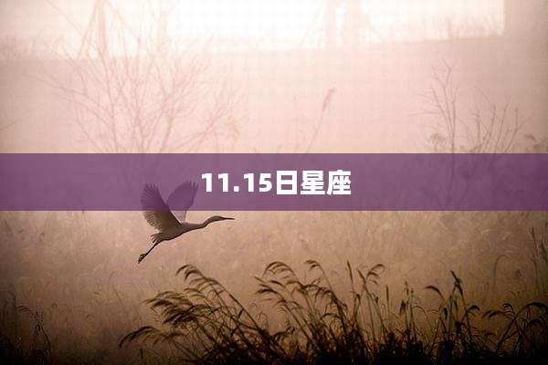 11.15日星座