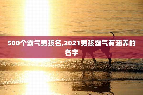 500个霸气男孩名,2021男孩霸气有涵养的名字