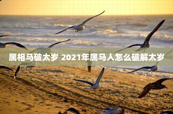 属相马破太岁 2021年属马人怎么破解太岁