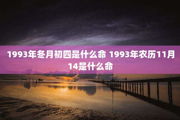 1993年冬月初四是什么命 1993年农历11月14是什么命